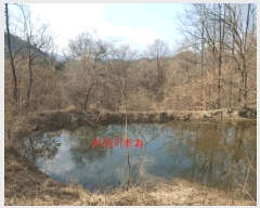  2025Ÿ��10170  ���(�󰡽ü�)���