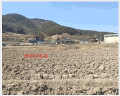  2025Ÿ10172 泲 õ û  460      ()