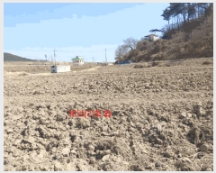  2025Ÿ10172 泲 õ û  460      ()