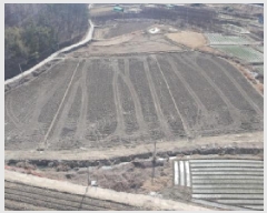  2025Ÿ10172 泲 õ û  460      ()