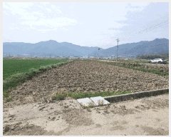  2025Ÿ��10194 �泲 ��õ�� �ʰ�� ���ϸ� 317-4      ����(��1)���