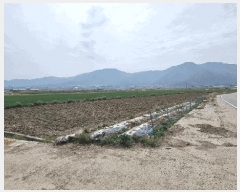  2025Ÿ��10194 �泲 ��õ�� �ʰ�� ���ϸ� 317-4      ����(��1)���