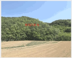  2025Ÿ��10198  �Ӿ߰��