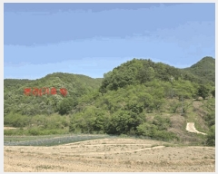  2025Ÿ��10198  �Ӿ߰��