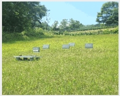  2025Ÿ��10250 �泲 ��â�� ������ �뵿�� 1068      ����(��1)���