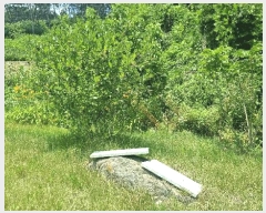  2025Ÿ��10250 �泲 ��â�� ������ �뵿�� 1068      ����(��1)���