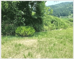  2025Ÿ��10250 �泲 ��â�� ������ �뵿�� 1068      ����(��1)���