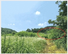  2025Ÿ��10250 �泲 ��â�� ������ �뵿�� 1068      ����(��1)���