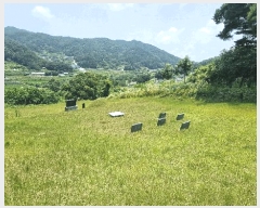  2025Ÿ��10250 �泲 ��â�� ������ �뵿�� 1068      ����(��1)���