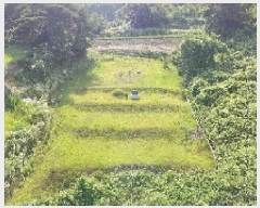  2025Ÿ��10250 �泲 ��â�� ������ �뵿�� 1068      ����(��1)���