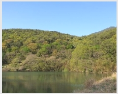  2025Ÿ193 泲 â  ϸ  167     (Ӿ)