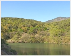  2025Ÿ193 泲 â  ϸ  167     (Ӿ)