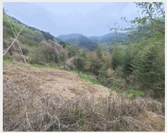  2025Ÿ197 泲 â   縮 90     (1)