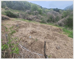  2025Ÿ197 泲 â   縮 90     (1)