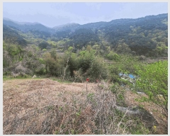  2025Ÿ197 泲 â   縮 90     (1)