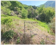  2025Ÿ197 泲 â   縮 90     (1)