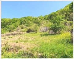  2025Ÿ197 泲 â   縮 90     (1)