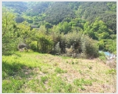  2025Ÿ197 泲 â   縮 90     (1)