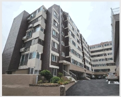  2025Ÿ207 泲 â  ڻ굿 23-2 ڱ׸ũ 5507ȣ    Ʈ