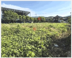  2025Ÿ��232  �����