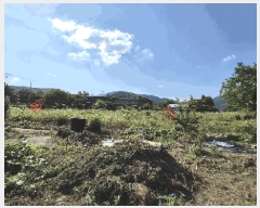  2025Ÿ��232  �����