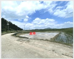  2025Ÿ240 泲 Ծȱ ϸ θ 351-6      ()