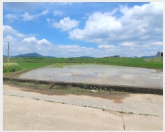  2025Ÿ240 泲 Ծȱ ϸ θ 351-6      ()