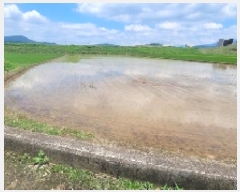  2025Ÿ240 泲 Ծȱ ϸ θ 351-6      ()