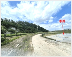  2025Ÿ240 泲 Ծȱ ϸ θ 351-6      ()