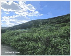  2025Ÿ��271 �泲 �Ƿɱ� �Ƿ��� �ϸ� ��149      ����(�Ӿ�)���