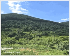  2025Ÿ��271 �泲 �Ƿɱ� �Ƿ��� �ϸ� ��149      ����(�Ӿ�)���