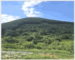  2025Ÿ��271 �泲 �Ƿɱ� �Ƿ��� �ϸ� ��149      ����(�Ӿ�)���