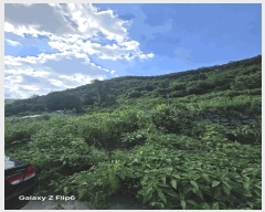  2025Ÿ��271 �泲 �Ƿɱ� �Ƿ��� �ϸ� ��149      ����(�Ӿ�)���