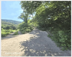  2025Ÿ��271 �泲 �Ƿɱ� �Ƿ��� �ϸ� ��149      ����(�Ӿ�)���