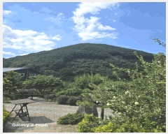  2025Ÿ��271 �泲 �Ƿɱ� �Ƿ��� �ϸ� ��149      ����(�Ӿ�)���