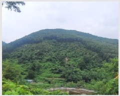  2025Ÿ��271 �泲 �Ƿɱ� �Ƿ��� �ϸ� ��149      ����(�Ӿ�)���