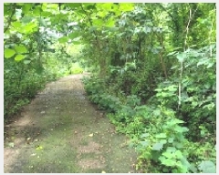  2025Ÿ��271 �泲 �Ƿɱ� �Ƿ��� �ϸ� ��149      ����(�Ӿ�)���