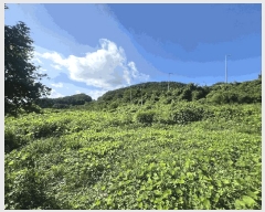  2025Ÿ��276 �泲 â���� ���������� ����� �ݵ��� 27-1     ��,�繫�ǰ��