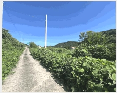  2025Ÿ��276 �泲 â���� ���������� ����� �ݵ��� 27-1     ��,�繫�ǰ��