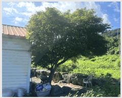  2025Ÿ��276 �泲 â���� ���������� ����� �ݵ��� 27-1     ��,�繫�ǰ��