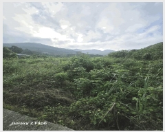  2025Ÿ��281 �泲 â���� ���������� ����� ��� 693     ����(��)���