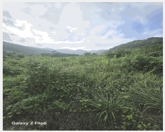  2025Ÿ��281 �泲 â���� ���������� ����� ��� 693     ����(��)���