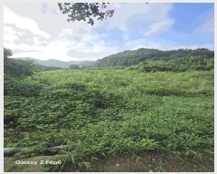  2025Ÿ��281 �泲 â���� ���������� ����� ��� 693     ����(��)���