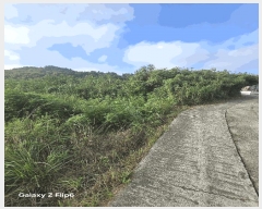  2025Ÿ��281 �泲 â���� ���������� ����� ��� 693     ����(��)���