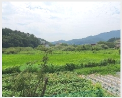  2025Ÿ��281 �泲 â���� ���������� ����� ��� 693     ����(��)���