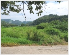  2025Ÿ��281 �泲 â���� ���������� ����� ��� 693     ����(��)���