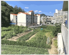  2025Ÿ��286  ����