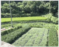  2025Ÿ��286  ����