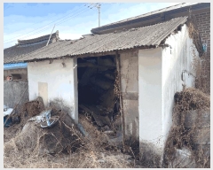  2025Ÿ��20362 �泲 �Ծȱ� ���� �򸲸� 343      ����(��1)���