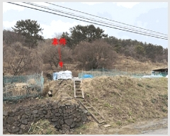  2025Ÿ20396 泲 â    245     (1)